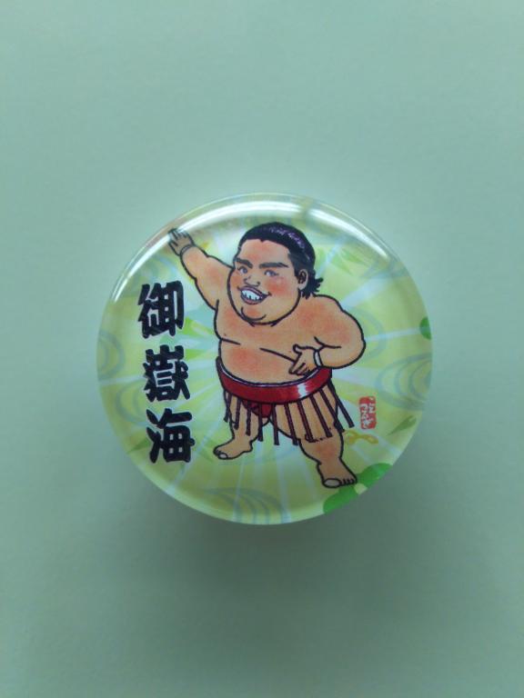 頑張れ!御嶽海