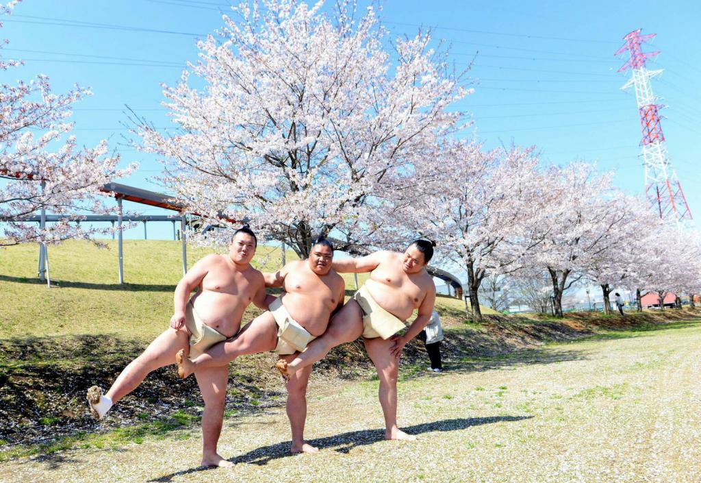 あっぱれ御嶽海関!