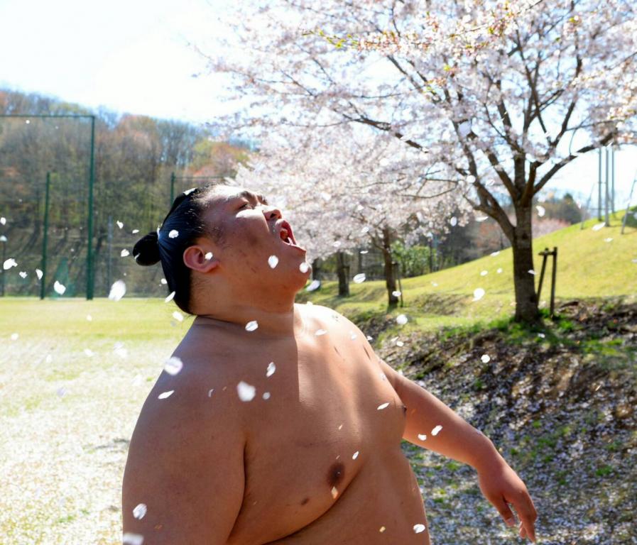 あっぱれ御嶽海関!